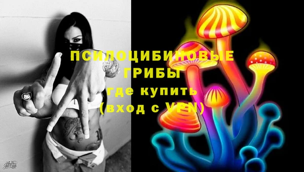 скорость Абаза